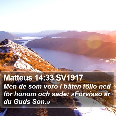 Matteus 14:33 SV1917 Bible Verse Image