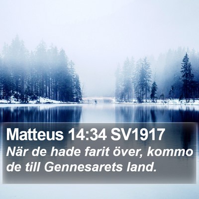 Matteus 14:34 SV1917 Bible Verse Image