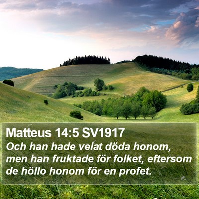Matteus 14:5 SV1917 Bible Verse Image