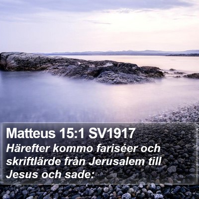 Matteus 15:1 SV1917 Bible Verse Image