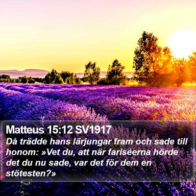 Matteus 15:12 SV1917 Bible Verse Image