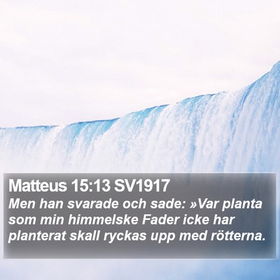 Matteus 15:13 SV1917 Bible Verse Image