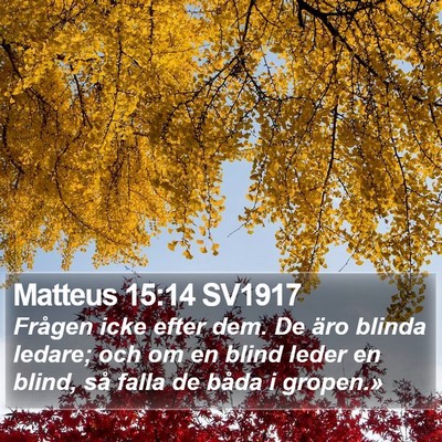 Matteus 15:14 SV1917 Bible Verse Image