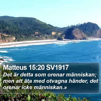 Matteus 15:20 SV1917 Bible Verse Image