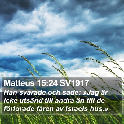 Matteus 15:24 SV1917 Bible Verse Image