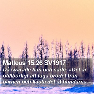 Matteus 15:26 SV1917 Bible Verse Image