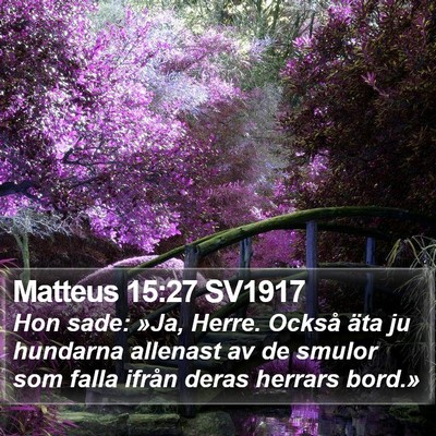 Matteus 15:27 SV1917 Bible Verse Image