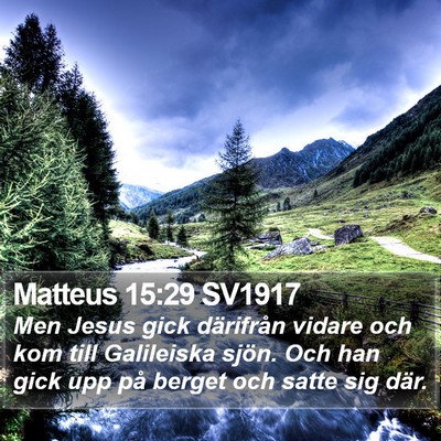 Matteus 15:29 SV1917 Bible Verse Image