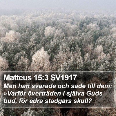 Matteus 15:3 SV1917 Bible Verse Image