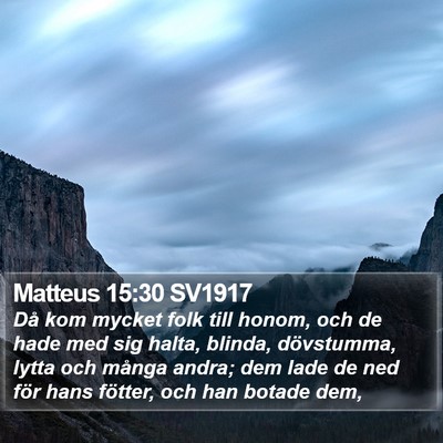 Matteus 15:30 SV1917 Bible Verse Image