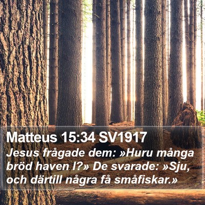 Matteus 15:34 SV1917 Bible Verse Image