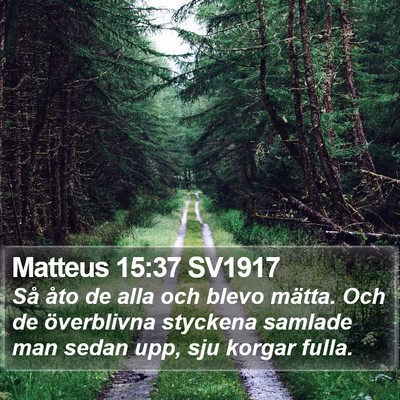 Matteus 15:37 SV1917 Bible Verse Image