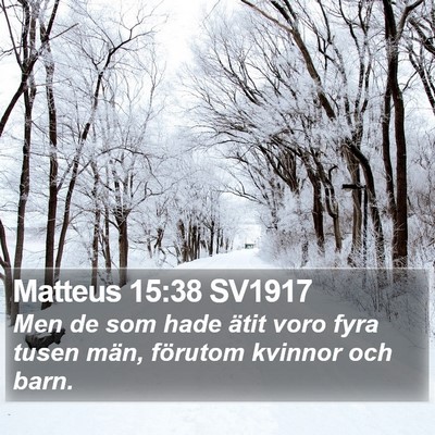 Matteus 15:38 SV1917 Bible Verse Image