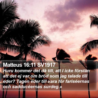 Matteus 16:11 SV1917 Bible Verse Image