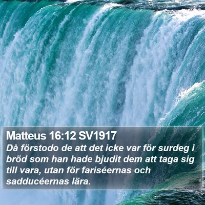 Matteus 16:12 SV1917 Bible Verse Image