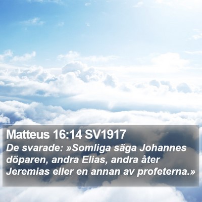 Matteus 16:14 SV1917 Bible Verse Image