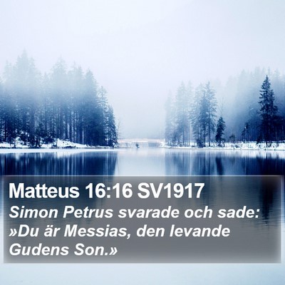 Matteus 16:16 SV1917 Bible Verse Image