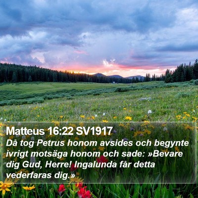 Matteus 16:22 SV1917 Bible Verse Image