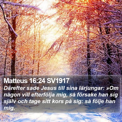 Matteus 16:24 SV1917 Bible Verse Image