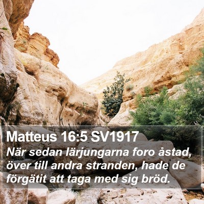 Matteus 16:5 SV1917 Bible Verse Image