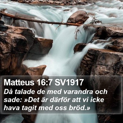 Matteus 16:7 SV1917 Bible Verse Image