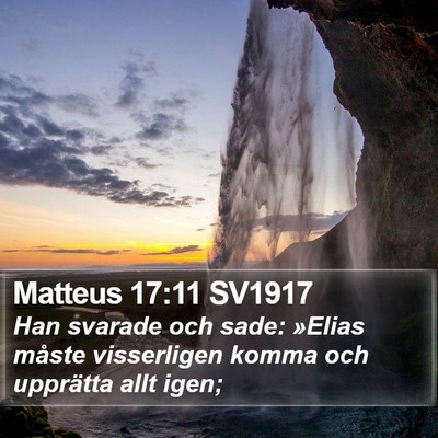 Matteus 17:11 SV1917 Bible Verse Image