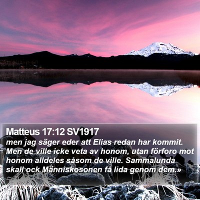 Matteus 17:12 SV1917 Bible Verse Image