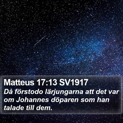 Matteus 17:13 SV1917 Bible Verse Image