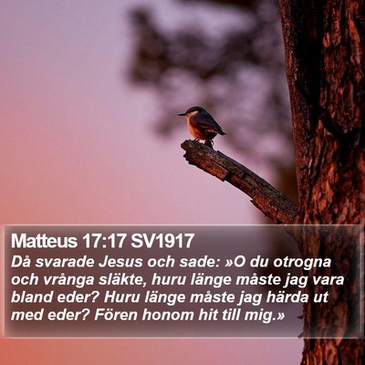 Matteus 17:17 SV1917 Bible Verse Image