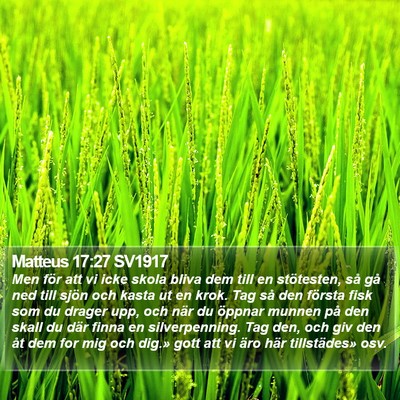Matteus 17:27 SV1917 Bible Verse Image