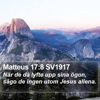 Matteus 17:8 SV1917 Bible Verse Image