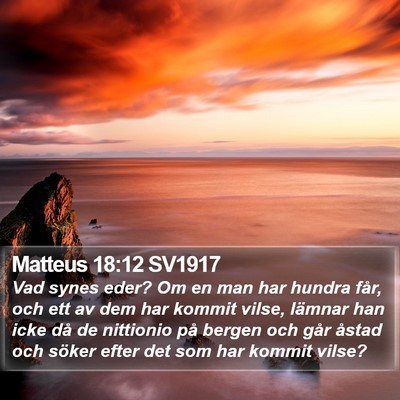 Matteus 18:12 SV1917 Bible Verse Image
