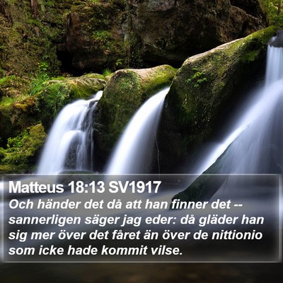 Matteus 18:13 SV1917 Bible Verse Image