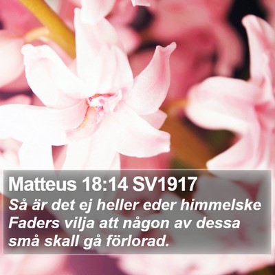 Matteus 18:14 SV1917 Bible Verse Image