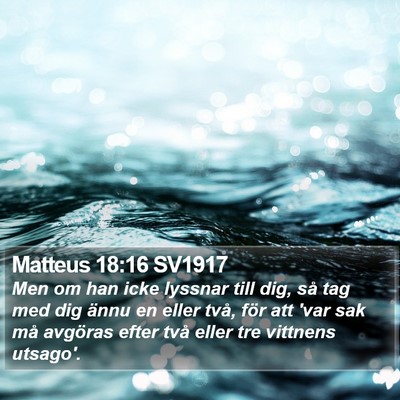 Matteus 18:16 SV1917 Bible Verse Image