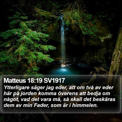 Matteus 18:19 SV1917 Bible Verse Image