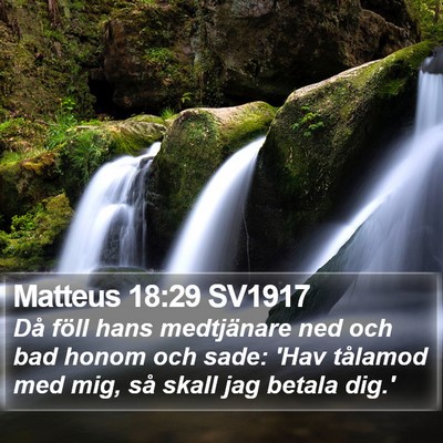 Matteus 18:29 SV1917 Bible Verse Image