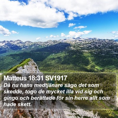 Matteus 18:31 SV1917 Bible Verse Image