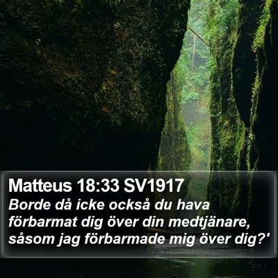 Matteus 18:33 SV1917 Bible Verse Image