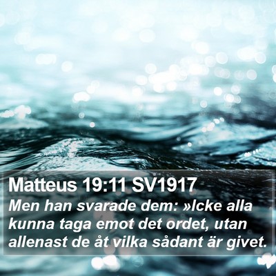 Matteus 19:11 SV1917 Bible Verse Image