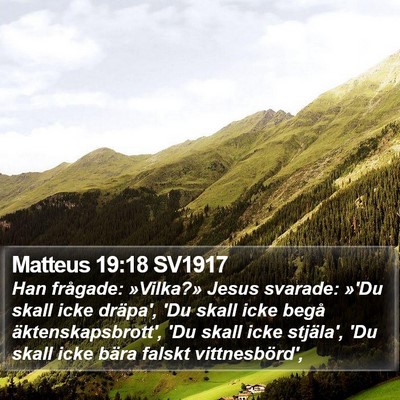 Matteus 19:18 SV1917 Bible Verse Image