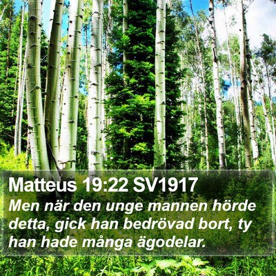 Matteus 19:22 SV1917 Bible Verse Image