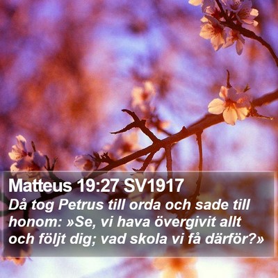 Matteus 19:27 SV1917 Bible Verse Image