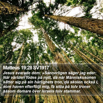 Matteus 19:28 SV1917 Bible Verse Image
