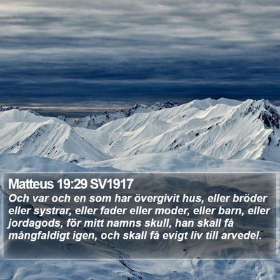 Matteus 19:29 SV1917 Bible Verse Image