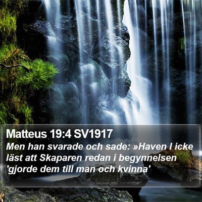 Matteus 19:4 SV1917 Bible Verse Image
