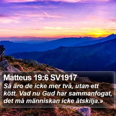 Matteus 19:6 SV1917 Bible Verse Image