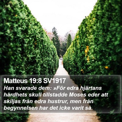 Matteus 19:8 SV1917 Bible Verse Image