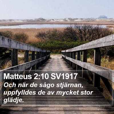 Matteus 2:10 SV1917 Bible Verse Image