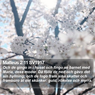 Matteus 2:11 SV1917 Bible Verse Image